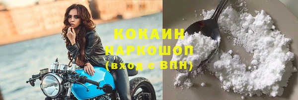 твердый Дмитровск