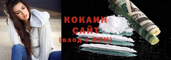 твердый Дмитровск