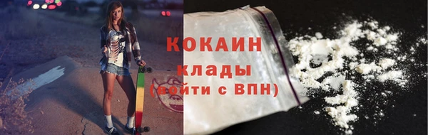 твердый Дмитров