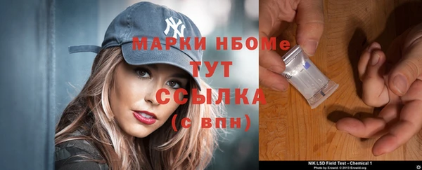 тгк Дмитриев