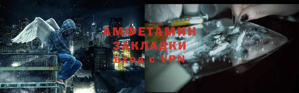 твердый Дмитров