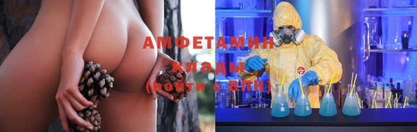 тгк Дмитриев