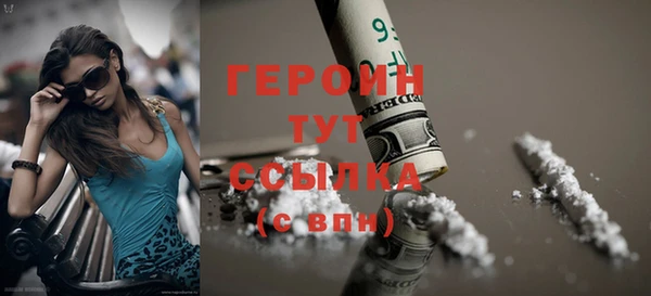 твердый Дмитровск