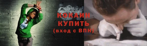 твердый Дмитровск
