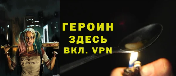твердый Дмитров