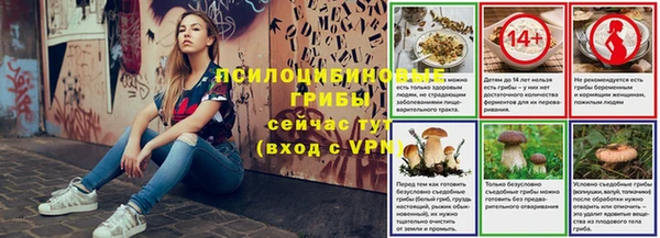 тгк Дмитриев