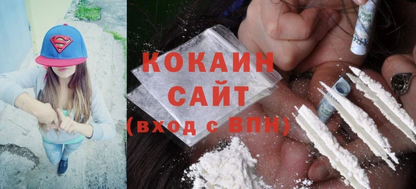 твердый Дмитровск