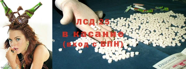 твердый Дмитров