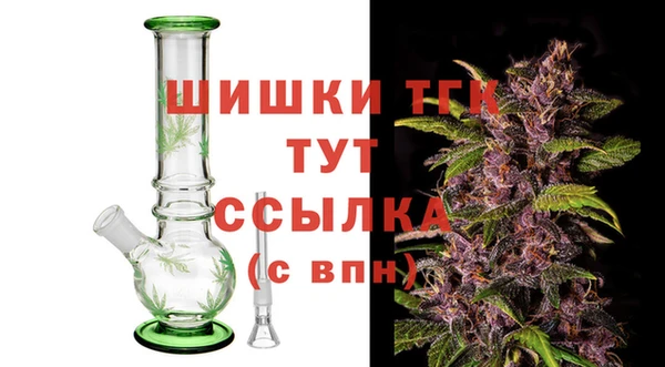 тгк Дмитриев