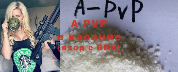 твердый Дмитров