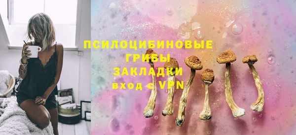твердый Дмитровск
