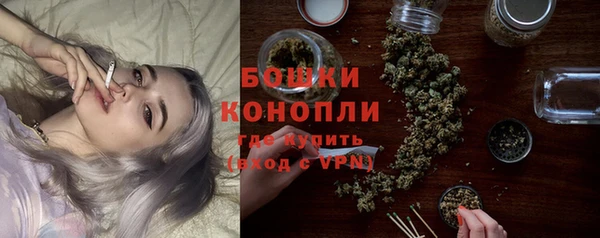 тгк Дмитриев