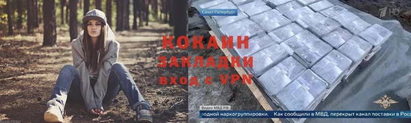 твердый Дмитров